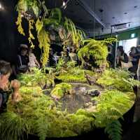 大阪 EXPO | 愛爾蘭館，小而美的生態地貌展示