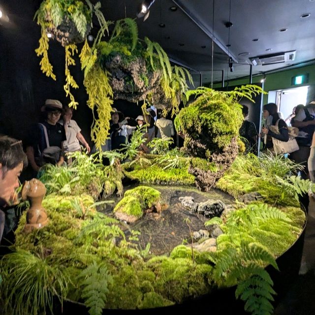 大阪 EXPO | 愛爾蘭館，小而美的生態地貌展示