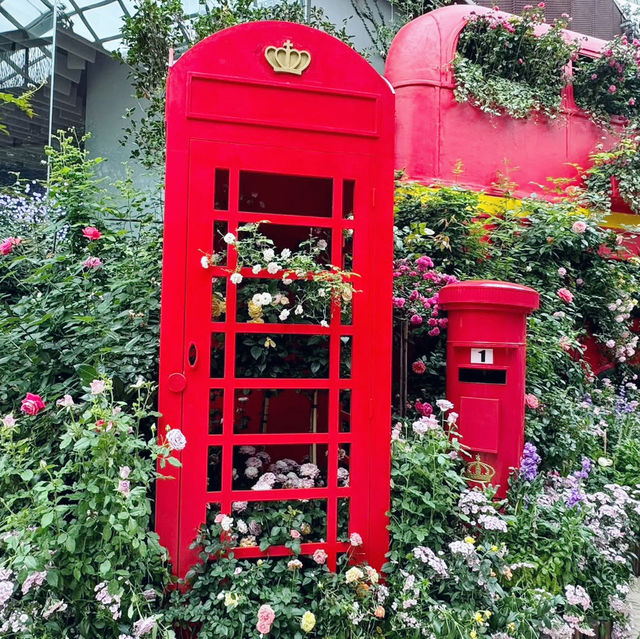 A Blooming Affair: Rose Romance at Gardens by the Bay 🇸🇬