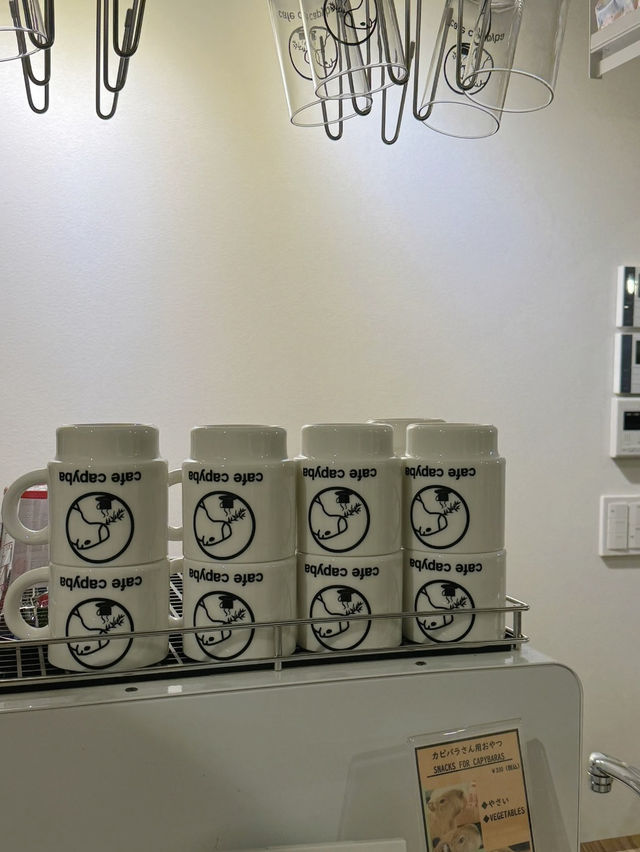 Cafe Capyba – Tokyo’s Cozy Capybara Retreat  
