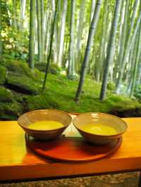 【鎌倉】報国寺の竹林
