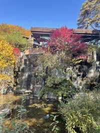 리솜 포레스트 정원 산책