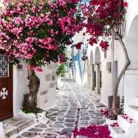 You, Me and Greek Islands Charming
