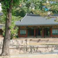 Deoksugung Palace: Where Joseon Meets Modern Seoul – A Solo Traveler’s Timeless Escape"** 🏯🌆