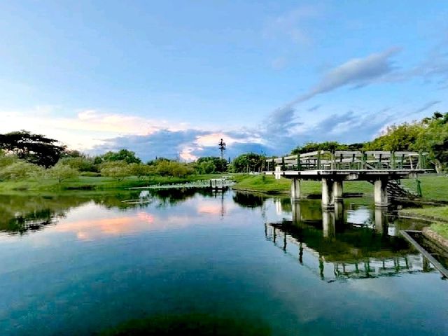 臺東森林公園
