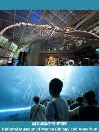 🐡🪼睇魚要去！屏東海生館：海洋生物教育的展示中心🐋🐠