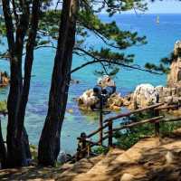 Chotdaebawi Rock: Korea’s Most Thrilling Sunrise Spot – A Solo Hiker’s Pilgrimage"** 🌄🧗
