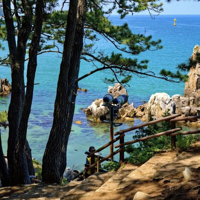 Chotdaebawi Rock: Korea’s Most Thrilling Sunrise Spot – A Solo Hiker’s Pilgrimage"** 🌄🧗