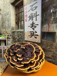The Village that Breathes in Brushstrokes
