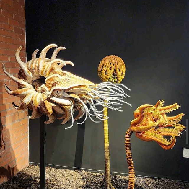 Houston Museum of Natural Science