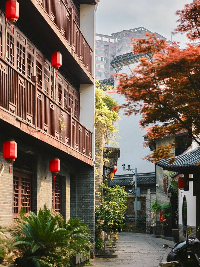 Hidden Gem in Bustling Changsha｜Baiguoyuan