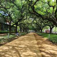 Discovery Green