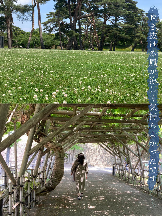 【北海道・函館】避暑旅に最適！夜景だけじゃない見どころ満載の街！