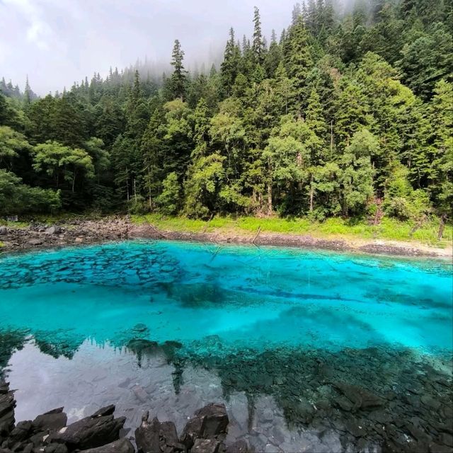 Fairy Tale Nature Vibes
