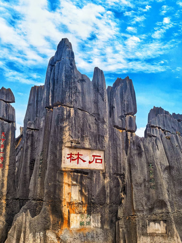 🪨Stone Forest, Kunming – A Surreal Masterpiece of Nature!