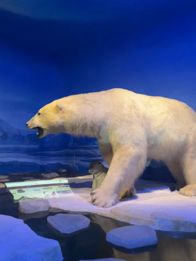 Tianjin Natural History Museum 🦖🏞️