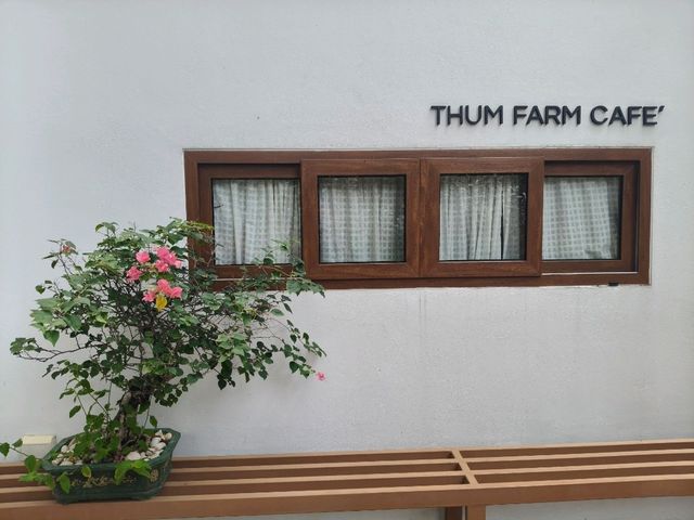 คาเฟ่เปิดใหม่ศรีราชา THUM FARM CAFE