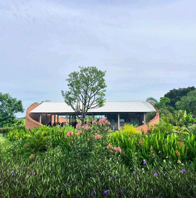 คาเฟ่กลางทุ่งนา บรรยากาศธรรมชาติสุดชิล 🍃☕