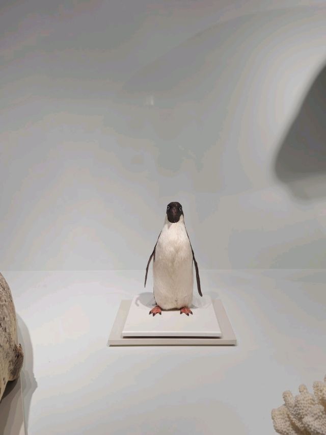 인천 국립 해양박물관 관람