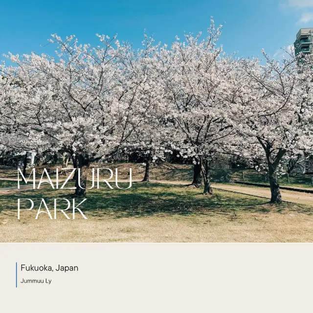 Maizura Park| Fukuoka