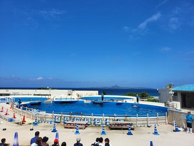 黑潮水槽震撼人心的海洋體驗/沖繩美麗海水族館
