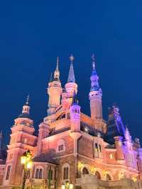 Not Your Typical Disney: The Unforgettable Shanghai Experience