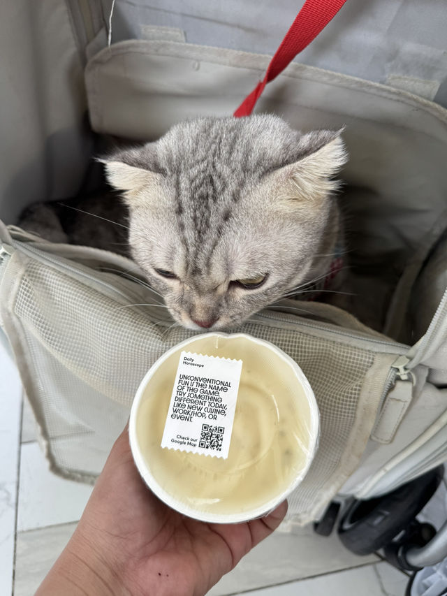 โรงแรมริมแม่น้ำเจ้าพระยา Pet Friendly 🐈