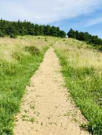 A Peaceful Hike to Panoramic Island Vistas