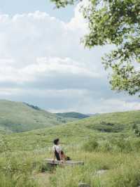 🌿秋吉台｜日本最大級のカルスト台地で大自然を感じる絶景ハイキング