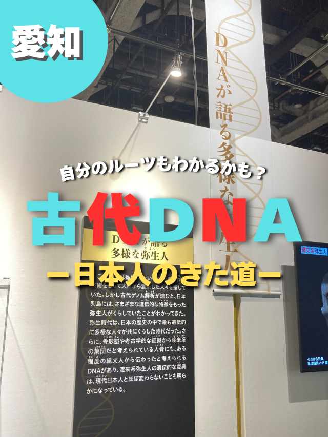 【愛知特別展】古代DNA-日本人のきた道- 【愛知特別展】古代DNA-日本人のきた道-