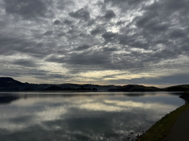 Wild walks; Seabirds & Star gazing Wild walks; Seabirds & Star gazing
