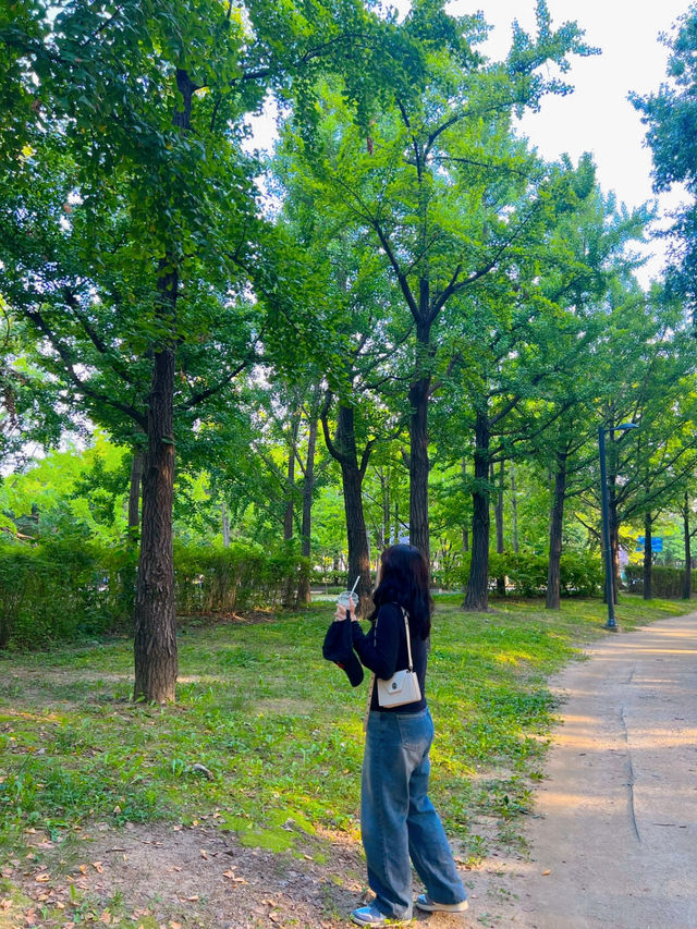 성동구 여행 일정 추천드려요!!!!