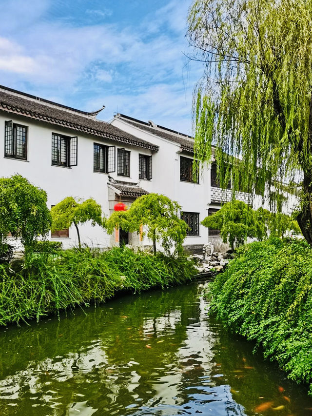 An Authentic Glimpse into Rural Shanghai