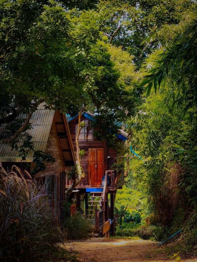 บ้านแอบรัก - หุบเขาเร้นรัก หางดง เชียงใหม่ บ้านแอบรัก - หุบเขาเร้นรัก หางดง เชียงใหม่
