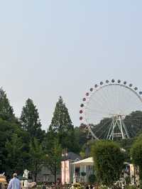 귀여움 한가득 에버랜드 뿌시기🎡