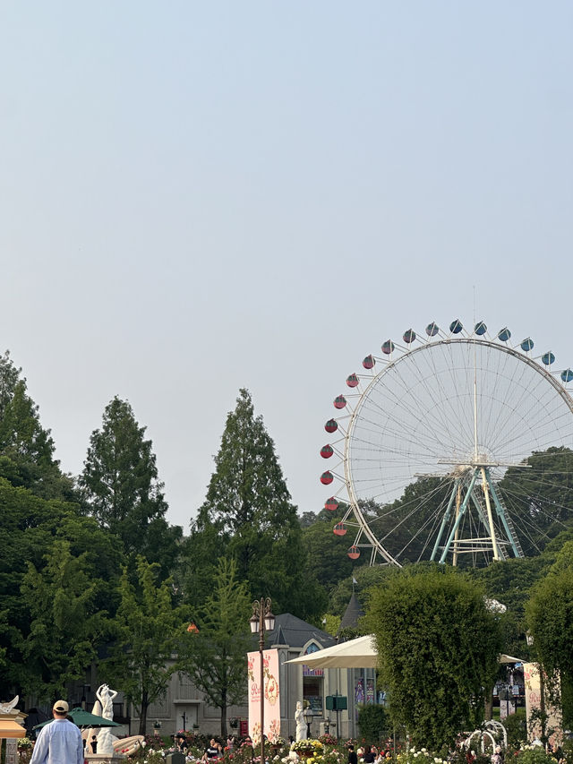 귀여움 한가득 에버랜드 뿌시기🎡