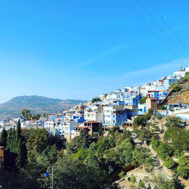 Discovering the Magic of Chefchaouen