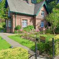 Serenity at Princes Street Gardens
