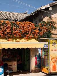 Kunming Haiyan Village: Where Dian Lake Whispers Ancient Stories