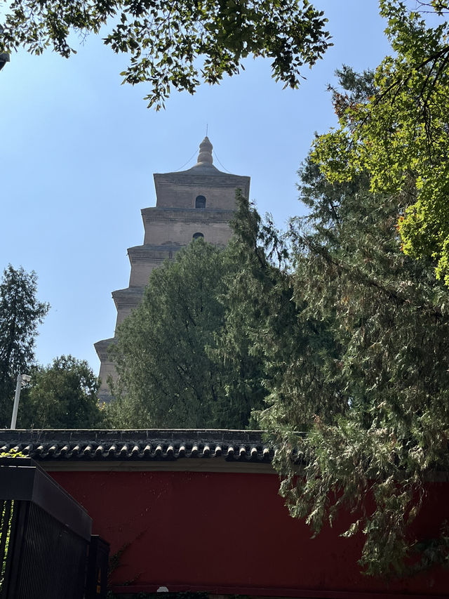 🌆 Big Wild Goose Pagoda — More Than Just a Pagoda