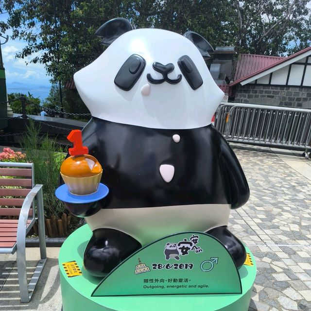 一日玩盡山頂廣場必踏路線