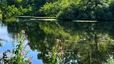 Capesthorne Hall – Cheshire’s Elegant Country House 🏰🇬🇧 — traveler post in Macclesfield