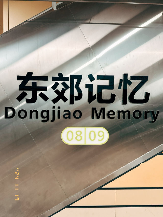 Eastern Suburb Memory - 东郊记忆