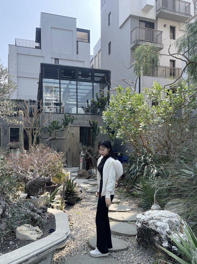 타이중 난툰구 신생 일대 ‘酉’ 선인장 정원 카페 — 사막빛 유리하우스에서 한 잔 🌵🪟