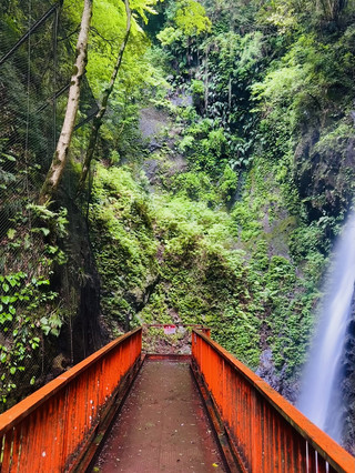 滝に急接近😌大量の飛沫で呼吸困難⁉️圧倒的臨場感は類を見ない✨あまり有名になって欲しくない穴場滝🥹