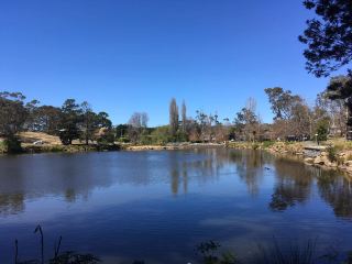 原始のオーストラリアのジャングルと砂岩の尾根が広がるアレクサンドラ山