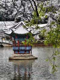Black Dragon Pool Park 