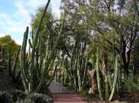  🌿【墨爾本放鬆好去處】皇家植物園：城市入面嘅天然氧吧！