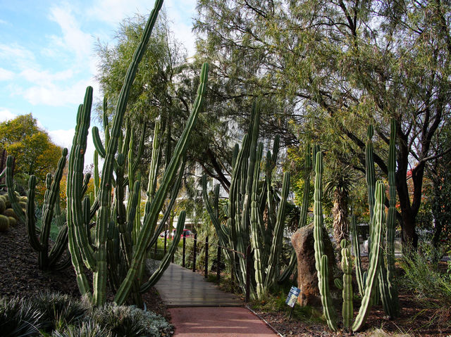  🌿【墨爾本放鬆好去處】皇家植物園：城市入面嘅天然氧吧！