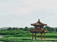 瀋陽.秀湖🇨🇳